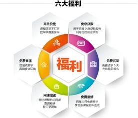 Java软件开发工程师培训 路径与技能提升指南